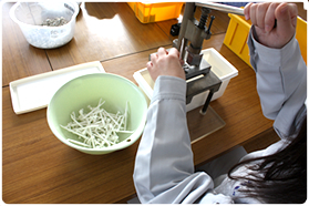 指定就労継続支援(B型)